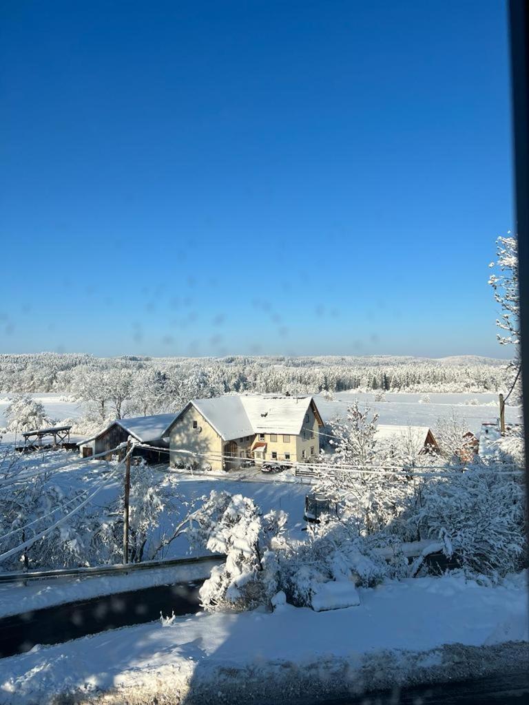 Fe Wo Brunnen - 120 Qm - Ruhige Lage - Viel Natur- Komfortabel - Grosser Balkon Und Garten Memmingen Eksteriør billede